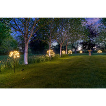 Dandelion Solar Garden light