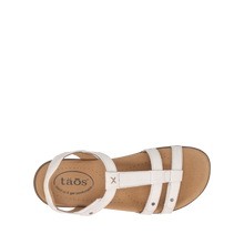 TAOS TROPHY 2 ICE EMBOSS